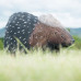 Wildcrete Porcupine small